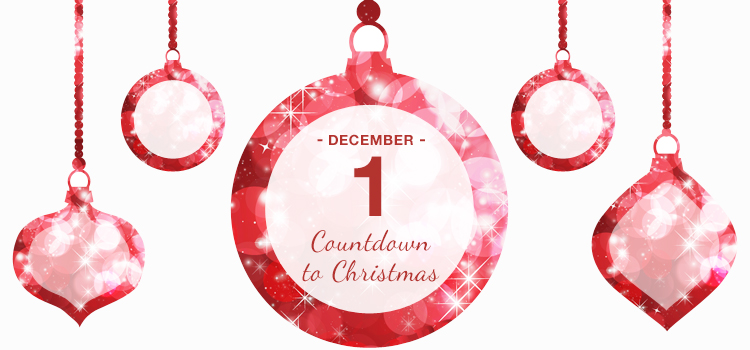 A Cozy Christmas Wish - Christmas Special Gifts