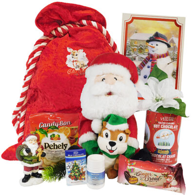 Children Santa Packages